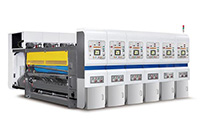 Flexo Printer